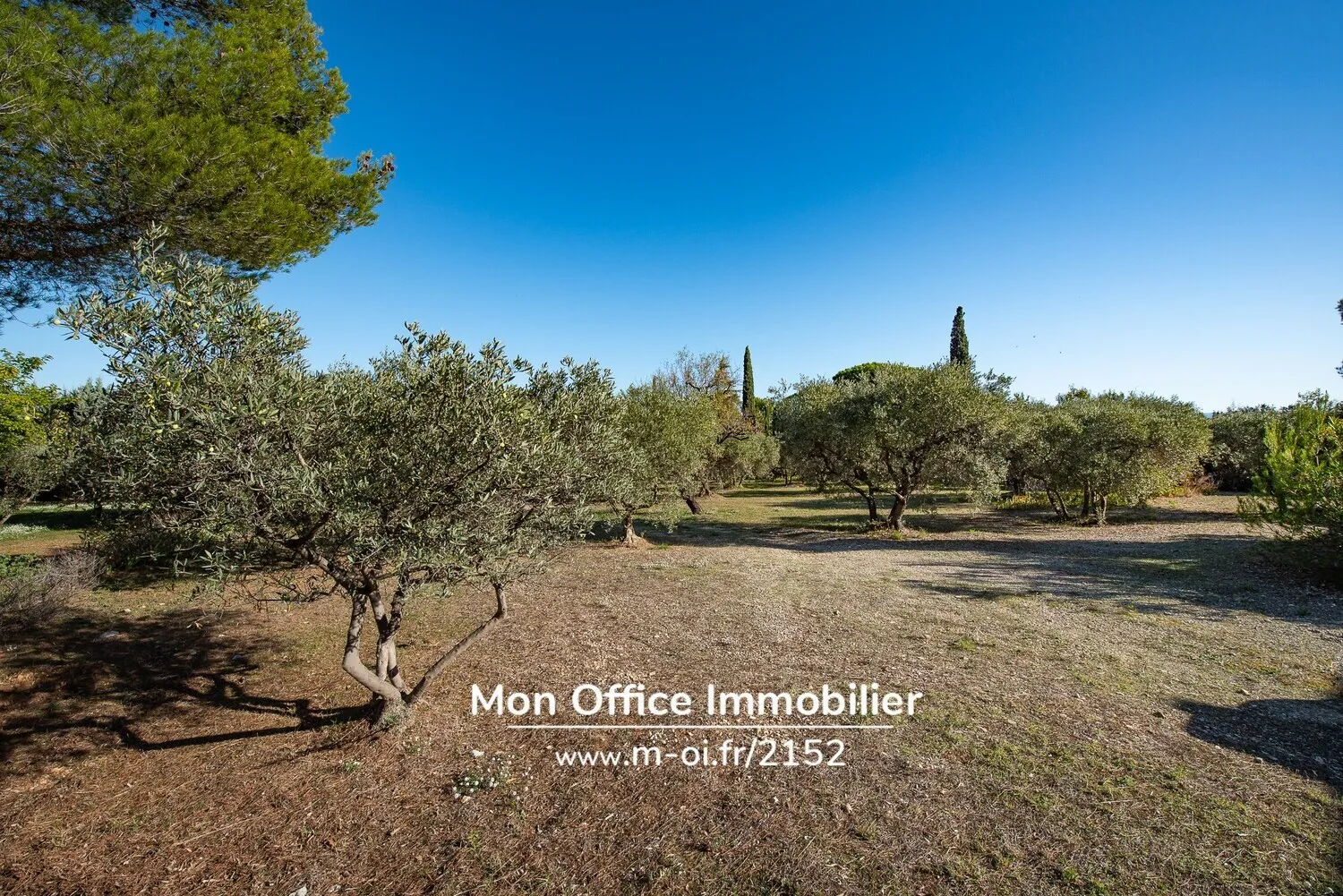 Photo principal du bien