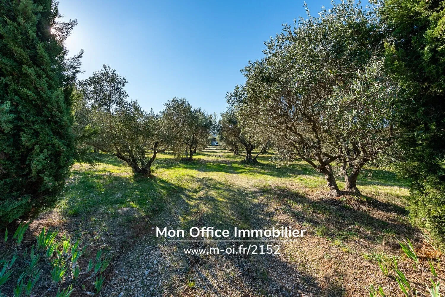 Photo 2 - Terrain constructible à Eygalières (13810)