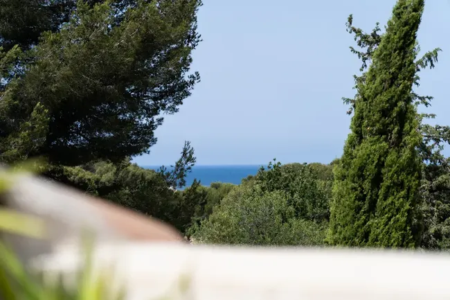 Photo principale du bien