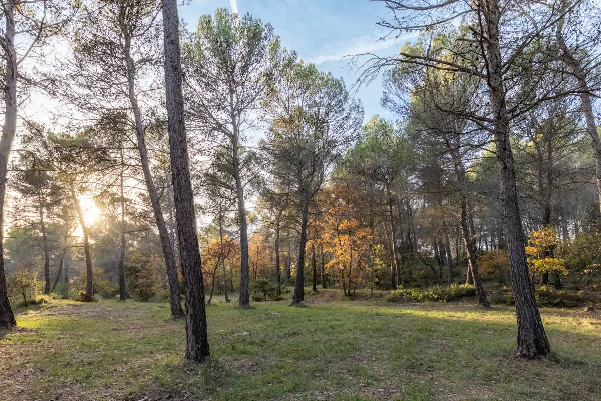 Photo 3 - Maison familiale au cœur de la nature 