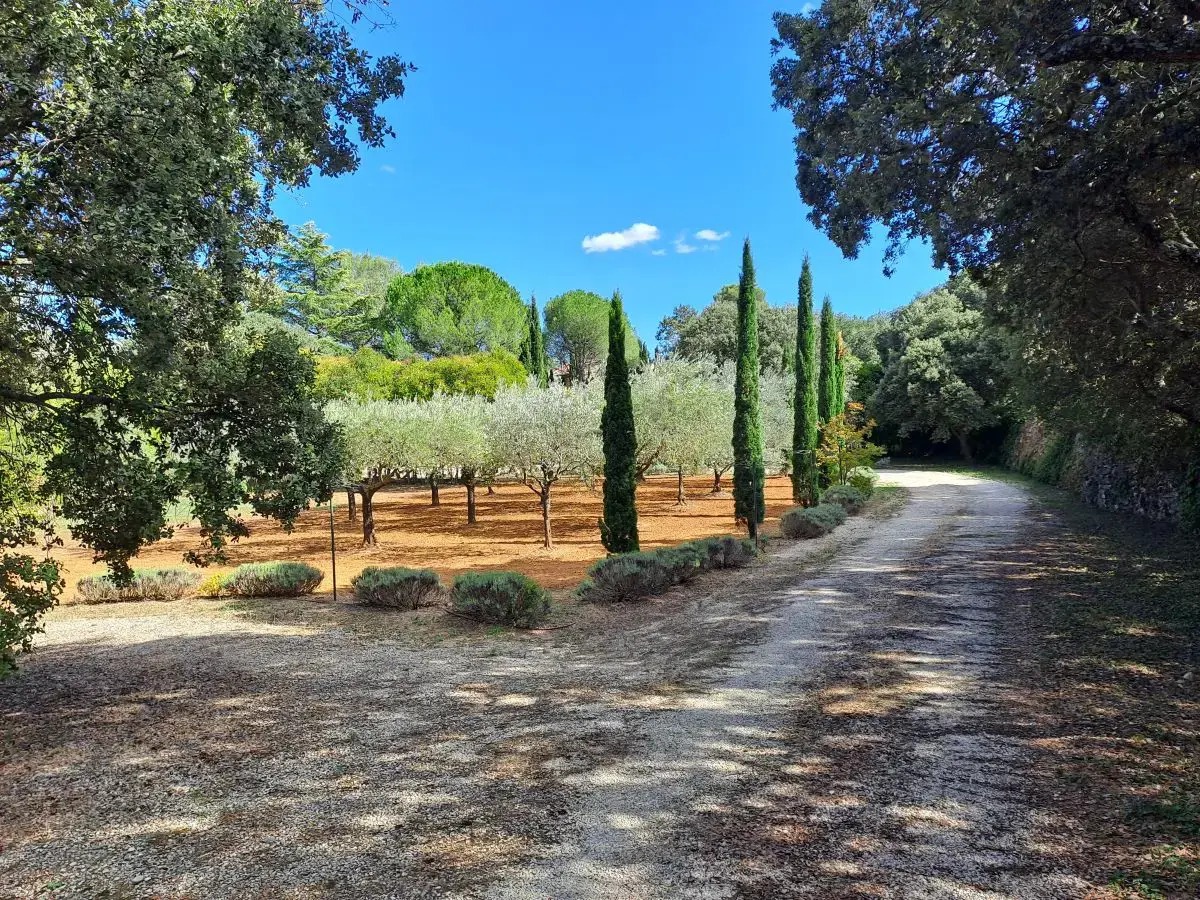 Photo 2 - Mas XVII et extension récente - Campagne - 25 minutes Aix en Provence