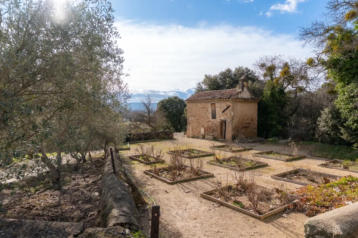 Photo 5 - Propriété du 16 ème siècle avec domaine viticole proche d’Aix-en-Provence