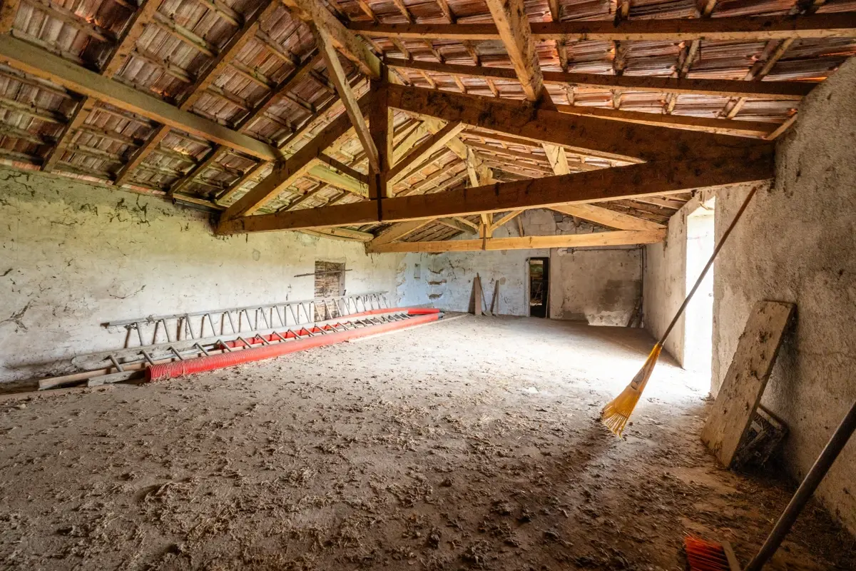 Photo 3 - Bâtisse à réinventer -  Secteur des Platanes 