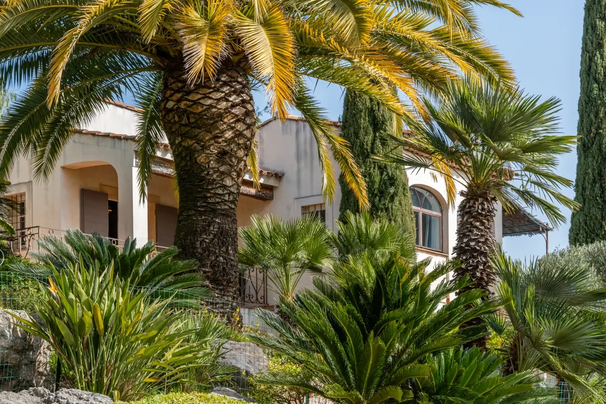 Photo 5 - Domaine panoramique en position dominante – La Cadière-d’Azur