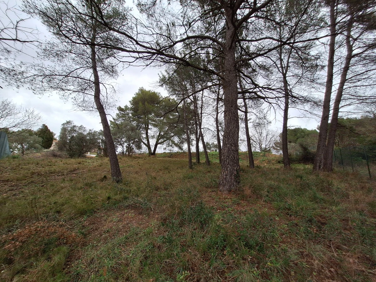 Photo 3 - Terrain à bâtir de 1060 m2 piscinable, calme et sécurisé , permis purgé pour maison de 144 m2