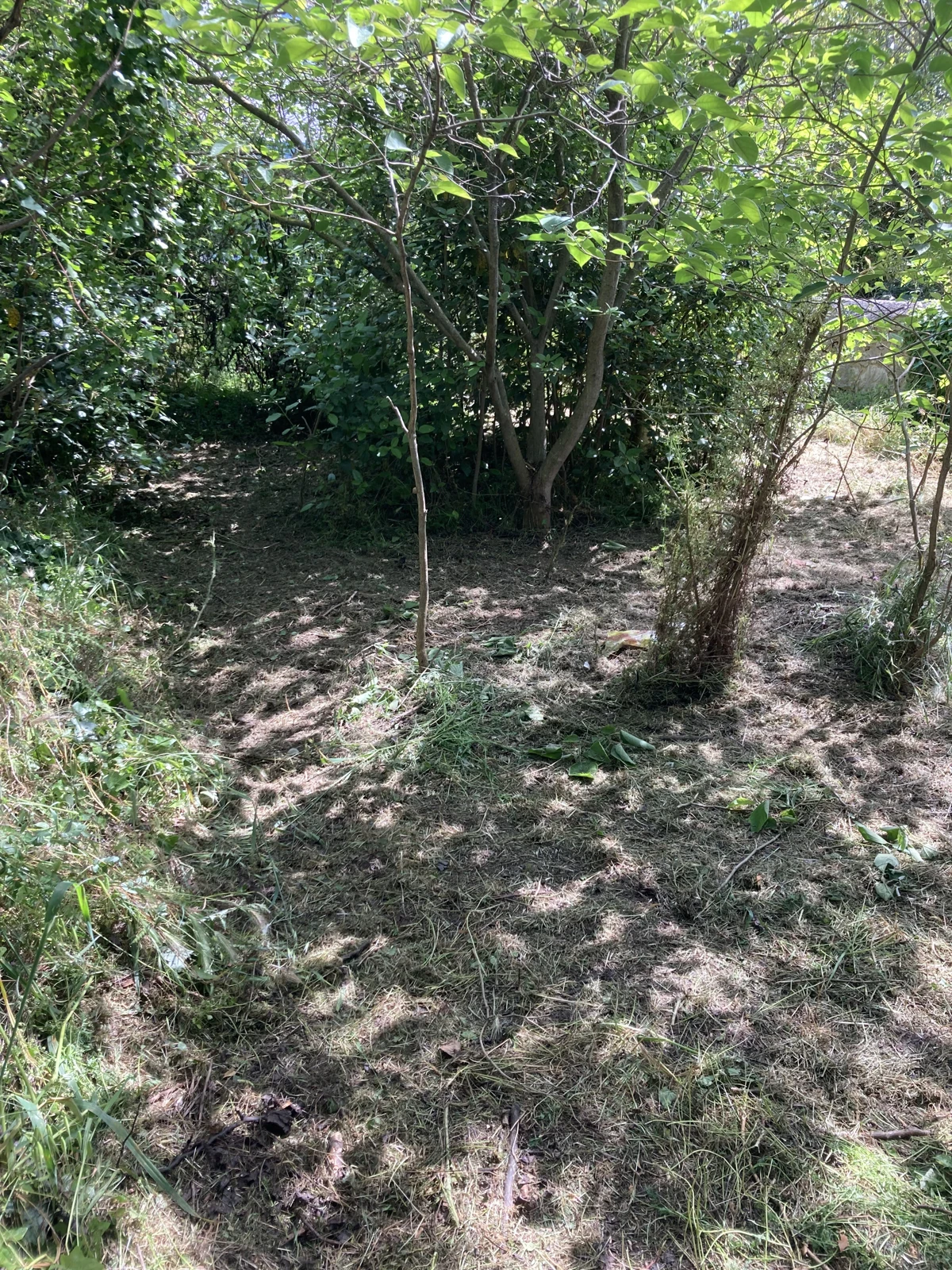 Photo 4 - Terrain constructible 551m2 zone UP1 septemes les vallons