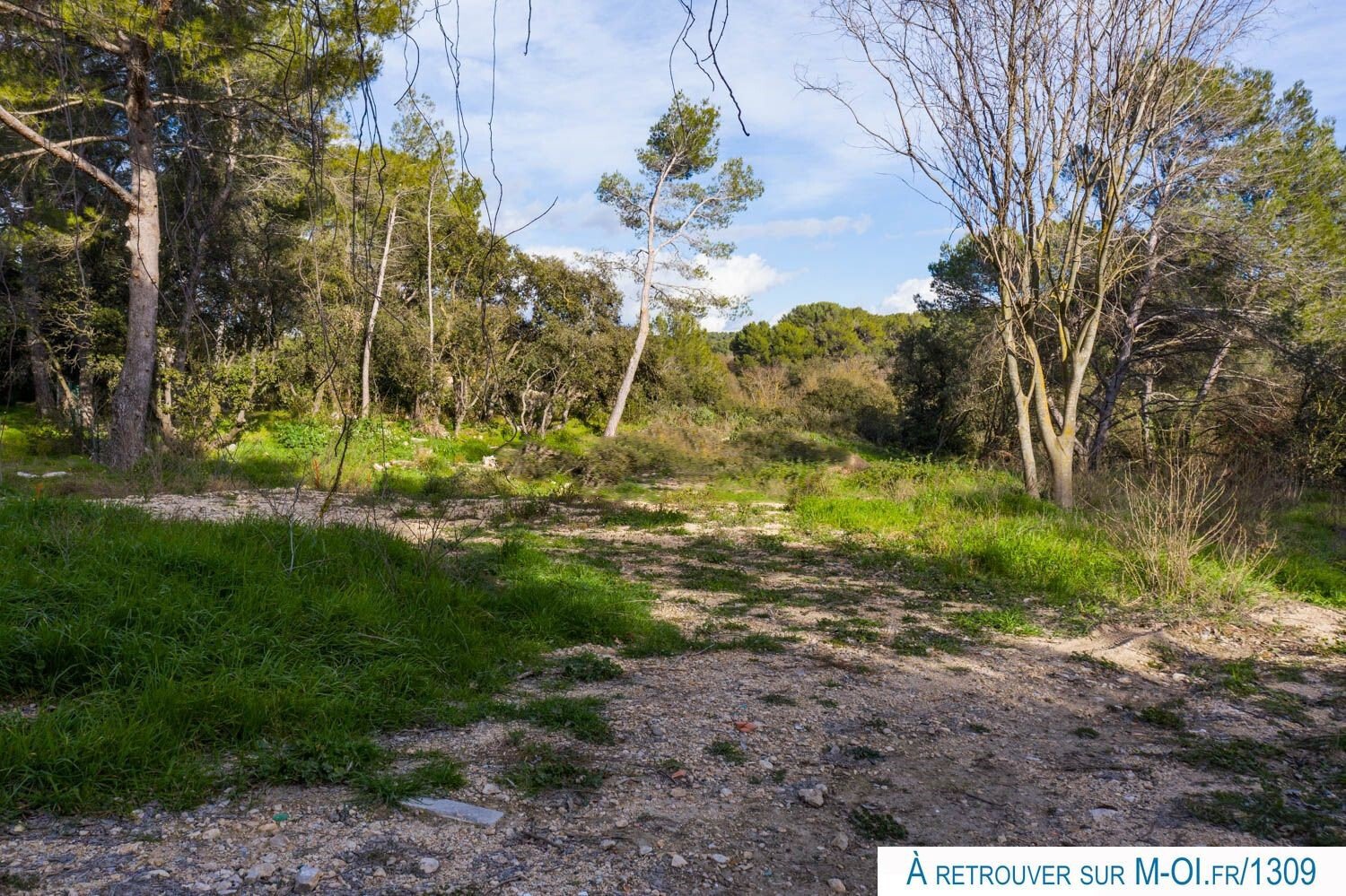 13410-exclusivite-lambesc--vente-terrain-_1.jpg