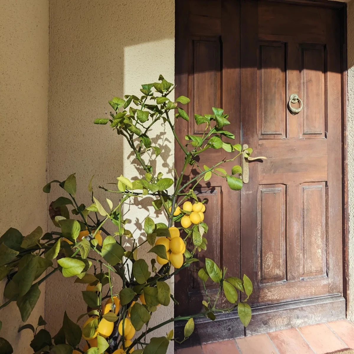 Photo 3 - Maison 7 pièce(s) à Meyrargues