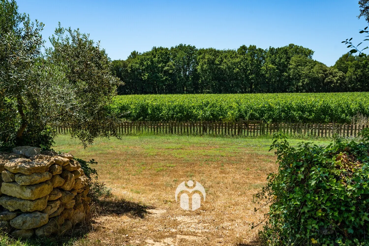 Photo 4 - VENDUE ! Bastide 7 pièces à Rognes (13840) de 350m2 sur 2,7ha - piscine et vue dégagée - calme absolu. 